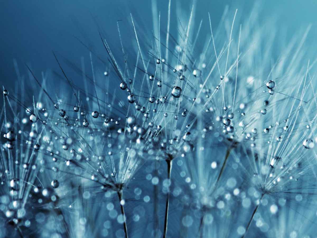 10 Resources for Integrity and Anti-corruption: Moral Resilience and Relevance for the Church Mission&nbsp;Community