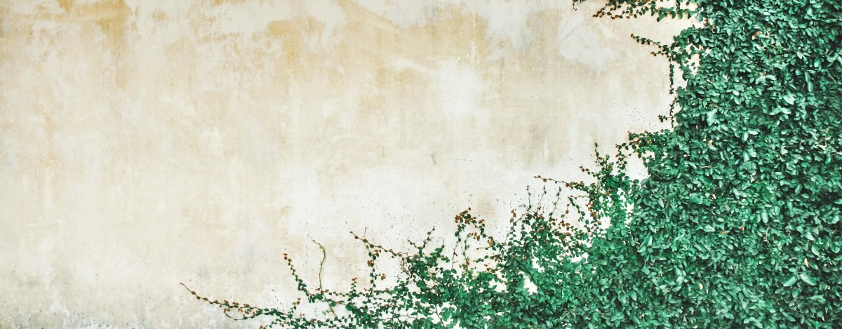 [Online course] “Corrupción y la fe cristiana”(Corruption and&nbsp;Christianity)